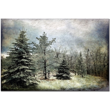 Lois Bryan 'Frosty' Canvas Art 22x32 Ready To Hang!,22x32